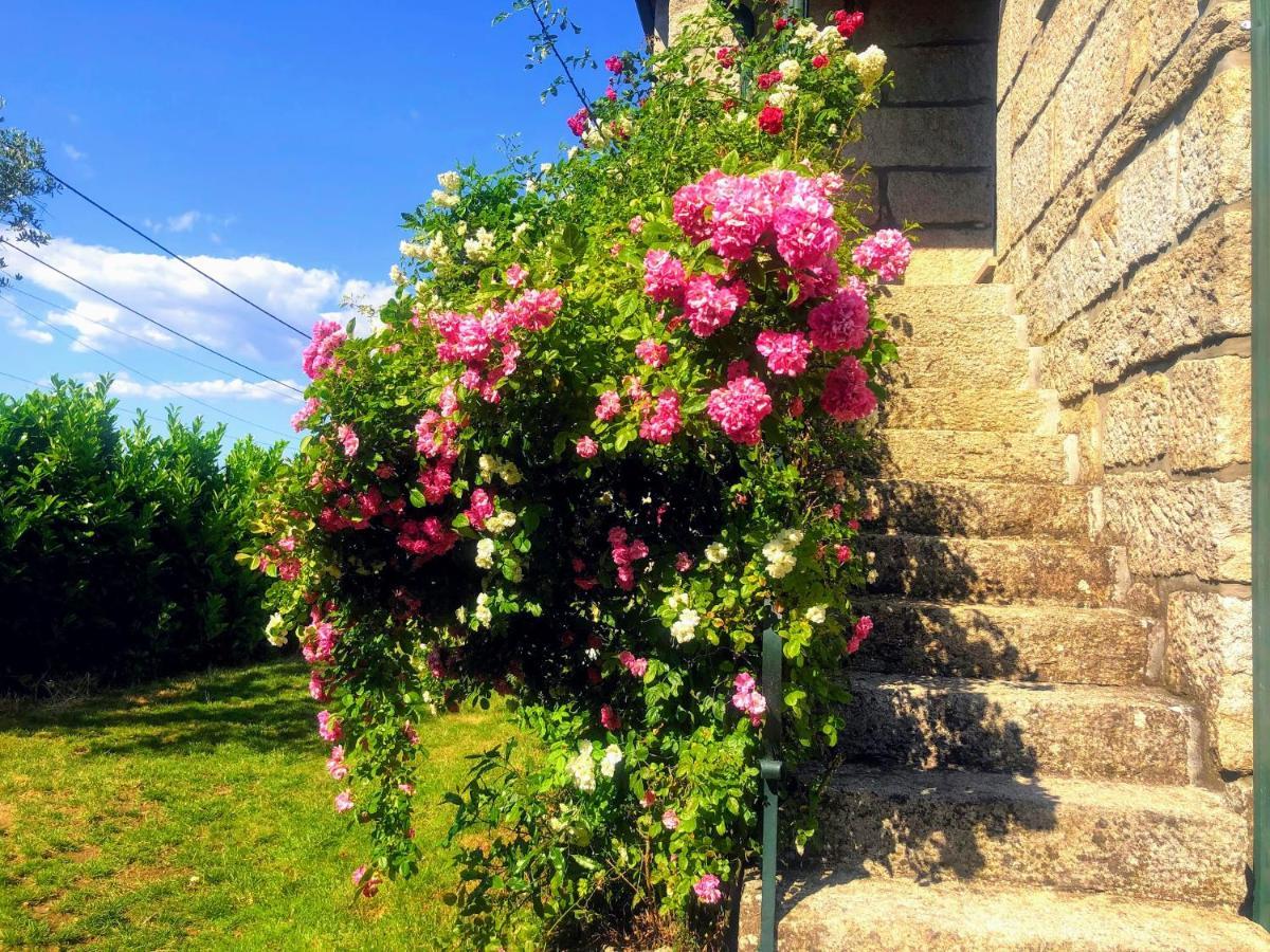 A Casa Da Celeste Fagilde ภายนอก รูปภาพ